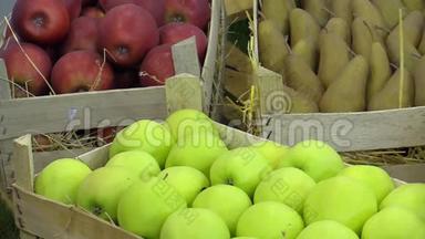 金苹果苹果苹果苹果品种和苹果梨，一个非常美味的秋季品种，在城市市场